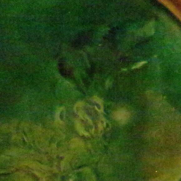 Etruscan Majolica Dog Plate Antique Griffin Smith Hill GSH 9.125 Inch USA - Picture 4 of 7